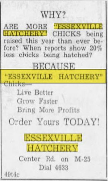 Essexville Hatchery - March 1948 Ad